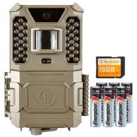 BUSH 24MP PRIME LOW GLOW TAN, BOX 5L - 119932M
