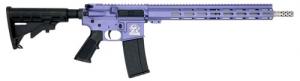 Great Lakes Firearms AR-15 223 Wylde 30+1 16" S/S BBL Wild Orchid Cerakote Aluminum Receiver - GL15223SSORC