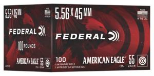 FED 5.56X45MM 55GR FMJ 100R - AE193C