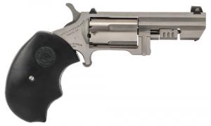 North American Arms (NAA) RECLUSE .22 MAG 2" Stainless Steel XS - NAARECLUSE