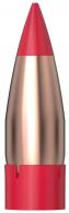 Weatherby CAL HORNADY BOREDRIVER 340G - 67714