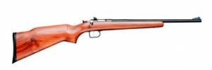 Crickett 22 Long Rifle