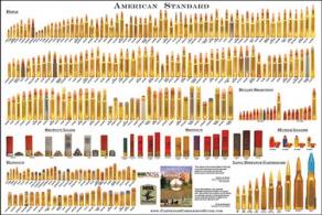 Chamberlain American Standard Rifle/Shotgun/Handgun 24"x 36" Poster