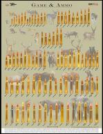 Chamberlain Game & Ammo Hunting Cartridge Teaching 18"x24" Poster - GAMEAMMOTEAC