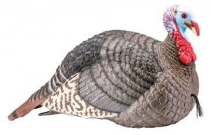 Hunters Specialties 100003 Strut-lite Jake Turkey Decoy Hunters Specialties 100003 Strut-lite Jake Turkey Decoy