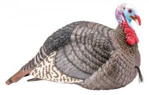 Flambeau Fantail Turkey Decoy