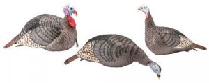 Hunters Specialties 100006 Strut-Lite Turkey Flock Decoy 3 Pack - 261