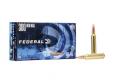 Main product image for Federal Power-Shok Copper Rifle 300 Win Magnum