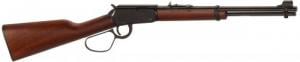 Henry Lever Action .22 LR Carbine with Large Loop - H001L