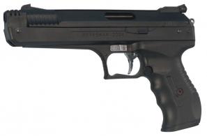 Beeman Single Shot .177 Caliber Pistol w/Synthetic Stock - 2004 Beeman Single Shot .177 Caliber Pistol w/Synthetic Stock - 2004
