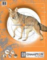 Champion Practice Targets 10 Pack - 45781 Champion Practice Targets 10 Pack - 45781