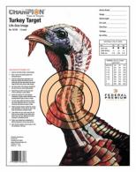 Champion Practice Target 12 Pack - 45780 Champion Practice Target 12 Pack - 45780