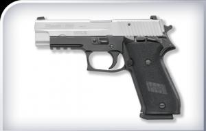 Sig Sauer Two-Tone 45acp SAO 8rd - SIG P220TT