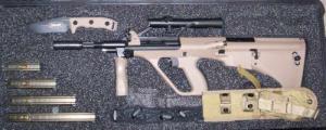 MICROTECH STG-556 LTD 223 TAN OPTIC - 2002LTDRH16