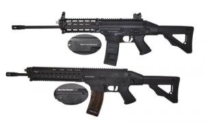 SIG 556/522 MATCHED PAIR - 556SERIALCOMBO SIG 556/522 MATCHED PAIR - 556SERIALCOMBO