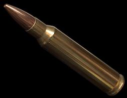 Extreme Shock BTHP 168 gr 20-rd BOX - 308168BTHP20