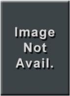 Browning BLR Lightweight Lever-Action Rifle, .450 Marlin, Mossy Oak Brush