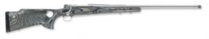 Winchester Model 70 Coyote Varmint Stainless SR .22-250 Remington