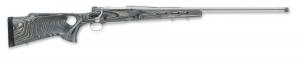 Model 70 Coyote Varmint Stainless SR .300 Winchester Short Magnum - 535144255