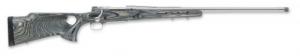 Model 70 Coyote Varmint Stainless SR .243 Winchester - 535144212