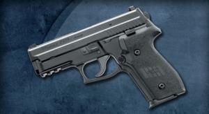 SIG P229R 40SW 3 MAGS NS DAK TRIGGER - SIG P229R SIG P229R 40SW 3 MAGS NS DAK TRIGGER - SIG P229R