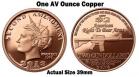2013 $2 Copper Gun Dollar Roll of 20
