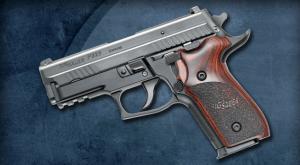 Sig Sauer LE Sauer P229R Elite 40S&W Night Sights SRT 2 magazines - E29R40BSELE Sig Sauer LE Sauer P229R Elite 40S&W Night Sights SRT 2 magazines - E29R40BSELE