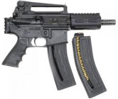 CPA LR PISTOL 2-10RD MAGS - M4-22