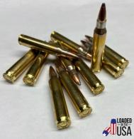 Main product image for Legend Pro Soft Point 223 Remington Ammo 62 gr 50 Round Box