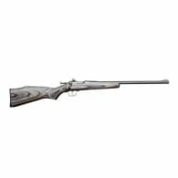 Chipmunk .22 LR, 16" Barrel, Stainless Steel, Black Laminate, Single Shot - 10003 Chipmunk .22 LR, 16" Barrel, Stainless Steel, Black Laminate, Single Shot - 10003