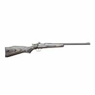 CHIPMUNK .22 LR  STD Black LAM Stainless Steel - 10003