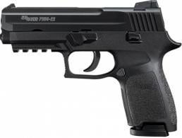 Sig Sauer P250 Comp .22 LR  3.9"10+1 - 250C-22-B