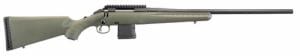 Ruger - American Predator, 204 Ruger, 22" Threaded Barrel, B