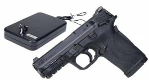 Smith & Wesson M&P380 SHLD EZ KIT 380ACP SFTY