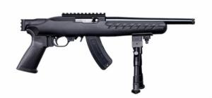 RUGER 22 CHGR .22 LR 15R 10B RAIL - 04937