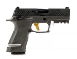 Used Sig P320 Carry 9mm with Sig TXG Grip Module and (4) Magazines - IUSIG070825