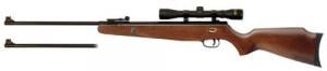 Beeman Dual Caliber .177/.22 Air Rifle w/Scope & European Ha
