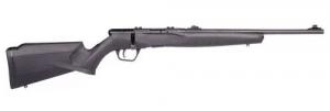 Savage B22 Compact Bolt .22 LR  (LR) 18 10+1 Synthetic Black Stock B