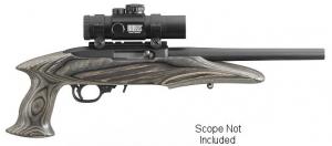 Ruger .22 LR  CHARGER 10IN - 4901