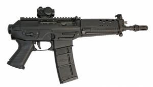 Sig Sauer P556 223 Rem./10" Barrel/Red Dot Scope - P55610BSMR10