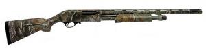 Charles Daly 20 Ga Field Hunter Youth 22" Barrel Multichoke- - CDGF3744 Charles Daly 20 Ga Field Hunter Youth 22" Barrel Multichoke- - CDGF3744