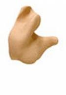 Radians Tan Custom Molded Earplugs - CEP002T Radians Tan Custom Molded Earplugs - CEP002T