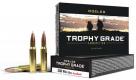 Nosler Trophy Grade Ballistic Tip 308 Winchester Ammo 150 gr 20 Round Box - 60056