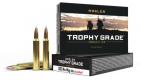 Main product image for Nosler 300 Winchester Mag 180 Grain AccuBond