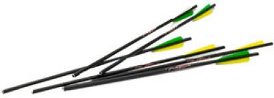 Horton Crossbow Package Includes Bow/Scope/Pads/Quiver/Arrow