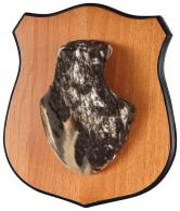 Allen Heirloom Mounting Plaque Brown Wood Grain Laminate Includes Engravable Brass Plate/2 Skull Covers - 569 Allen Heirloom Mounting Plaque Brown Wood Grain Laminate Includes Engravable Brass Plate/2 Skull Covers - 569