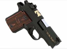 SIG 238 380 6RD FS - 238380LIB SIG 238 380 6RD FS - 238380LIB