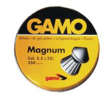 Gamo Magnum Pellets .22 Caliber Spire Point Double Ring 250 Per - 632022554 Gamo Magnum Pellets .22 Caliber Spire Point Double Ring 250 Per - 632022554
