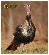 Natural Series Turkey Target Kit - 800234