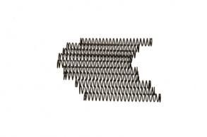 Standard Power Striker Spring 10 Pack - ZT-SPR-STK-S10
